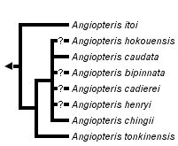 taxon links